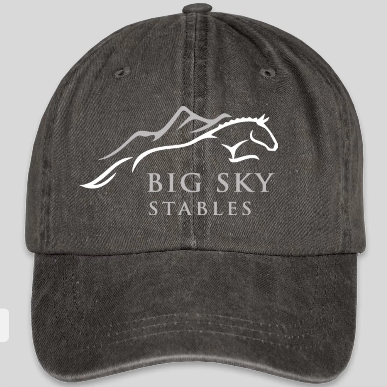Big Sky Barn Hat