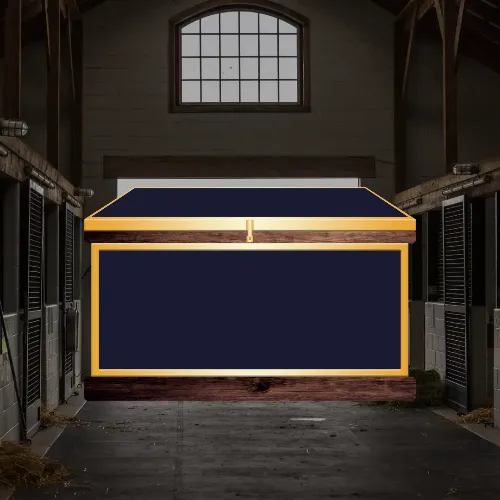 Medium Phoenix West Tack Trunk - Customer's Product with price 1066.00 ID Ilrjf9oezLsWxxMzEA1g2r4d