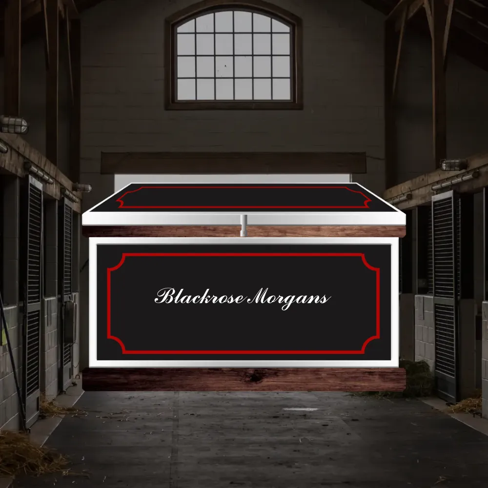 Large Phoenix West Tack Trunk - Customer's Product with price 1148.95 ID bnl5O4aRVYxjxK__5J94IlhS
