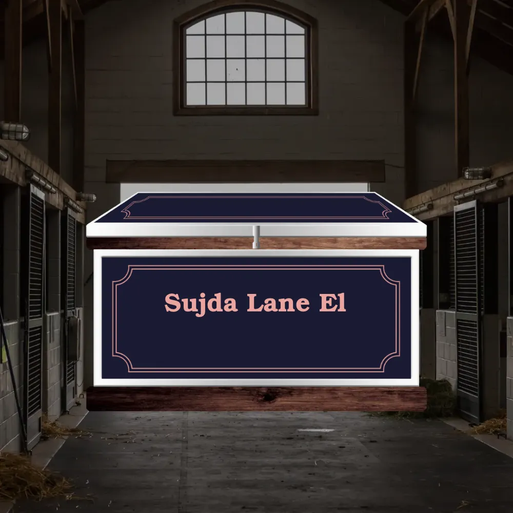 Large Phoenix West Tack Trunk - Customer's Product with price 1325.15 ID OBM6l3PVzp7ofqfwzejjr0Dc