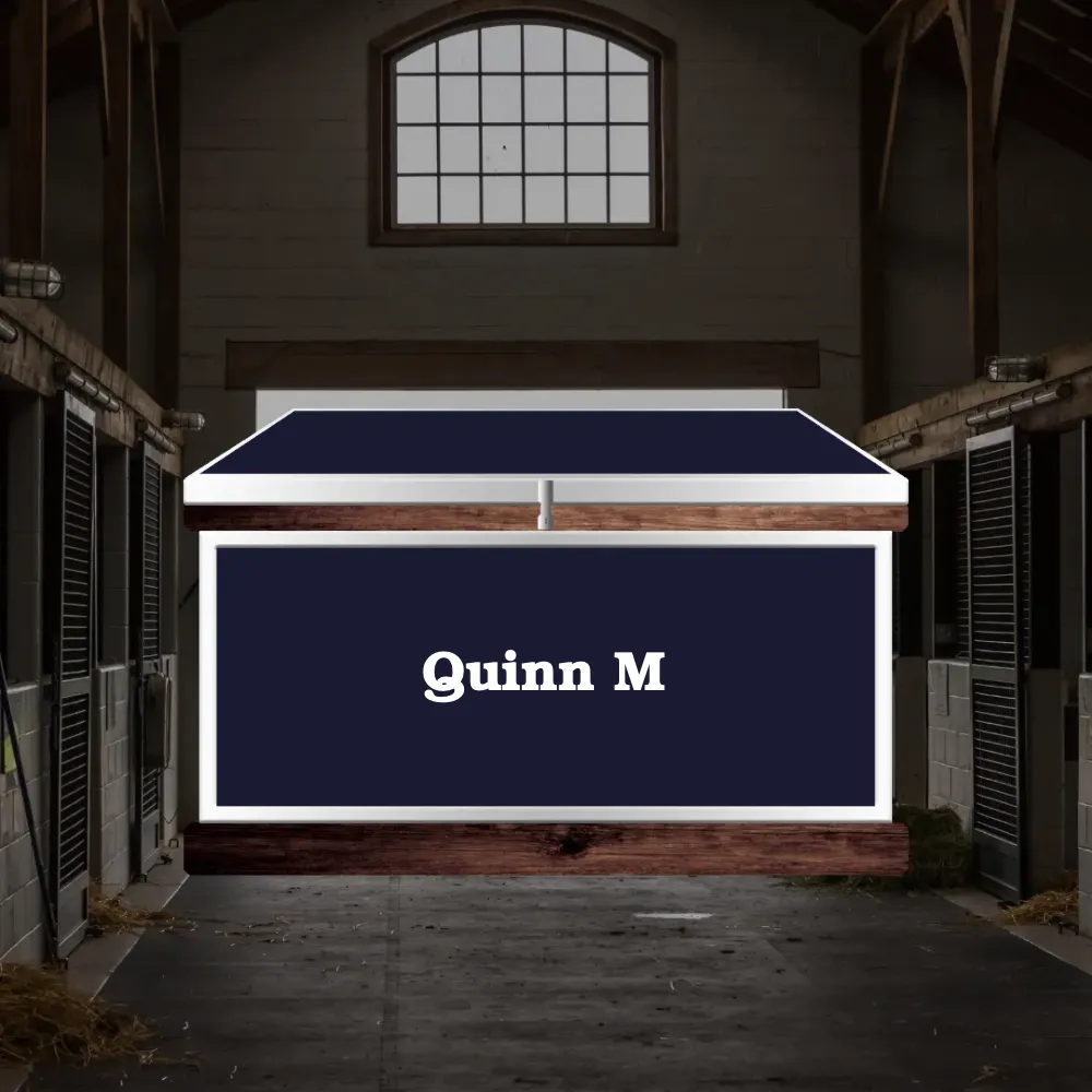 Large Phoenix West Tack Trunk - Customer's Product with price 1406.20 ID 2HDWVyLtX4tWpPXZjpzHCXZU