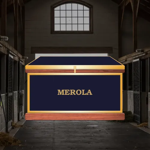 Medium Phoenix West Tack Trunk - Customer's Product with price 1094.20 ID L3R58gQsxlU1TErUZZOjDUOm