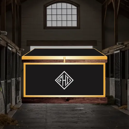 Large Phoenix West Tack Trunk - Customer's Product with price 1697.10 ID 9nOzS_dk9mGoYe0EAj1CN7DZ