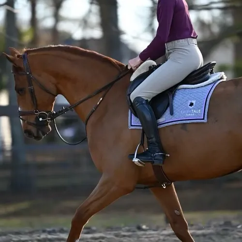 Equitex Custom Saddle Pad - Customer's Product with price 157.00 ID Bfwz9_aUP8nvOUKTV07zpB2A