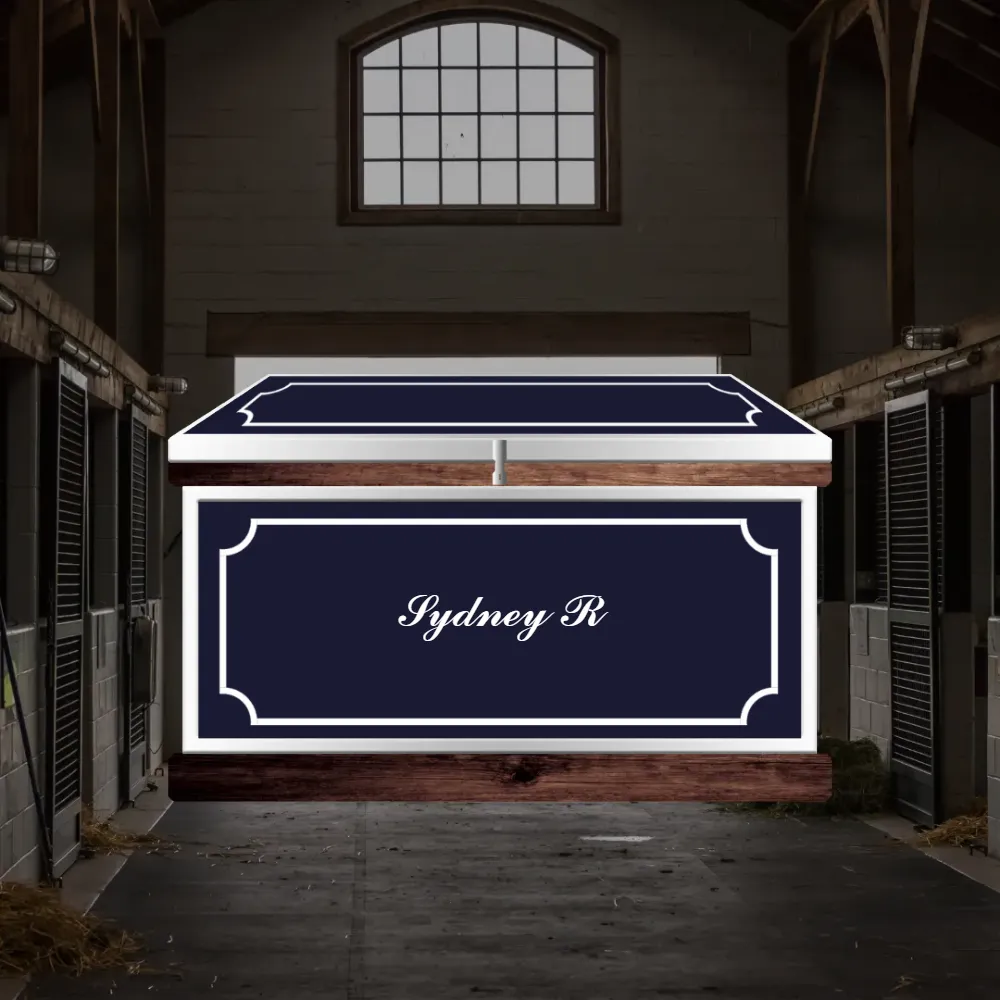 Medium Phoenix West Tack Trunk - Customer's Product with price 1157.90 ID H1qU7lmE6cbO-oxN3j0kdNw5