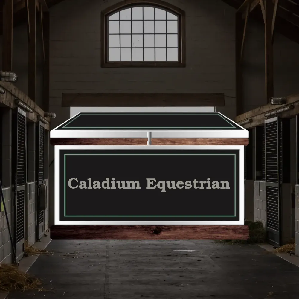 Large Phoenix West Tack Trunk - Customer's Product with price 1351.80 ID Sb1zmFFQNx3L7k-SEWwU_yRF