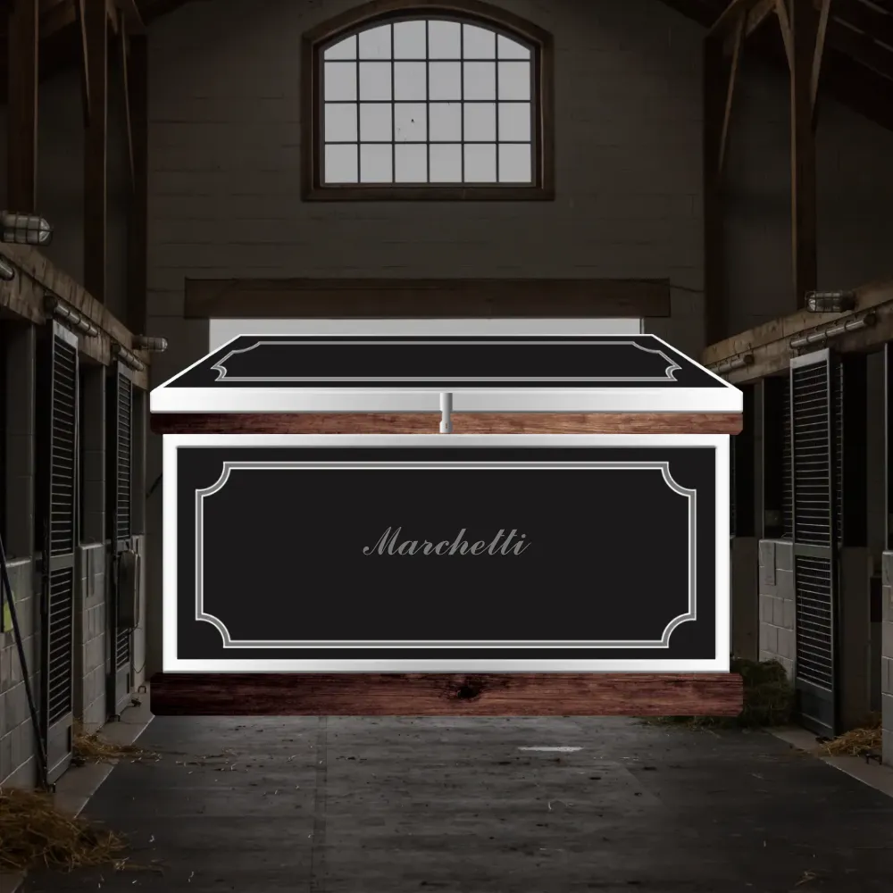 Medium Phoenix West Tack Trunk - Customer's Product with price 1218.05 ID 3zUreaT56XuBoJrQouBUdU9w