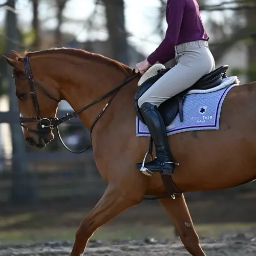 Equitex Custom Saddle Pad - Customer's Product with price 157.00 ID 1e8Sw7emheA-qAqHwd5sIAiv