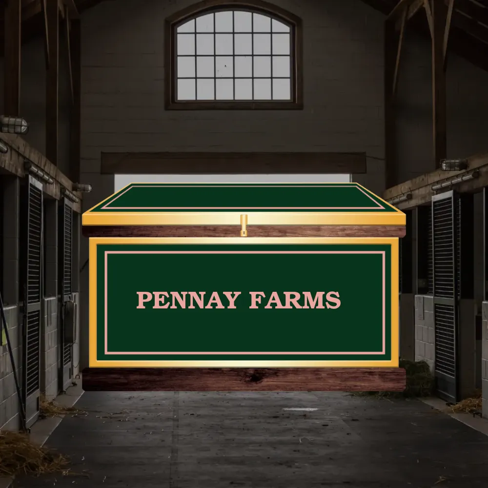 Large Phoenix West Tack Trunk - Customer's Product with price 1364.20 ID wG4_82KY0JDfAAveK280bcNe