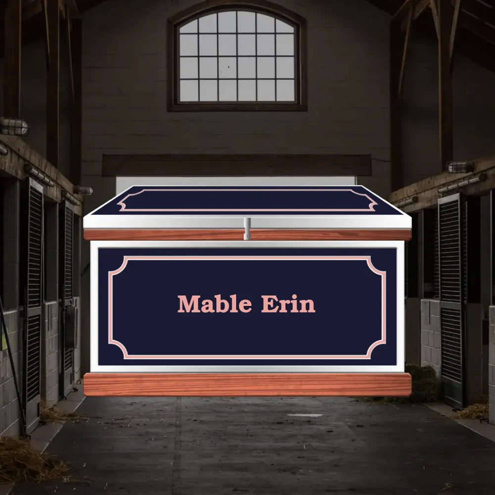 Medium Phoenix West Tack Trunk - Customer's Product with price 1333.30 ID dlPsDyvJENhfjVaPFzDWoLCP
