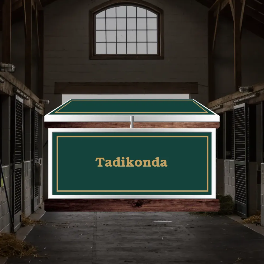 Large Phoenix West Tack Trunk - Customer's Product with price 1289.05 ID ZkdJ04qrVgyGH9xZ--NHOhau