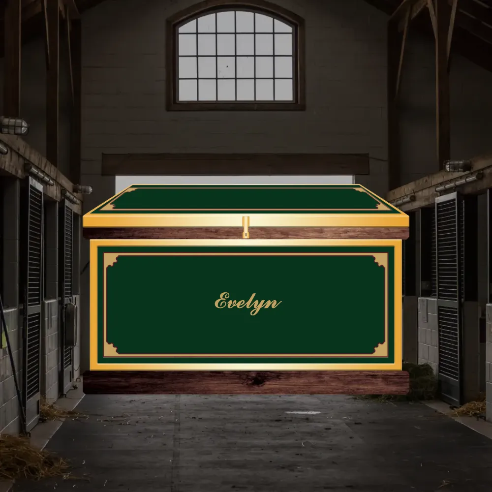 Large Phoenix West Tack Trunk - Customer's Product with price 1319.20 ID GGIVaP3MtIdQiWcxqeyq2YM5