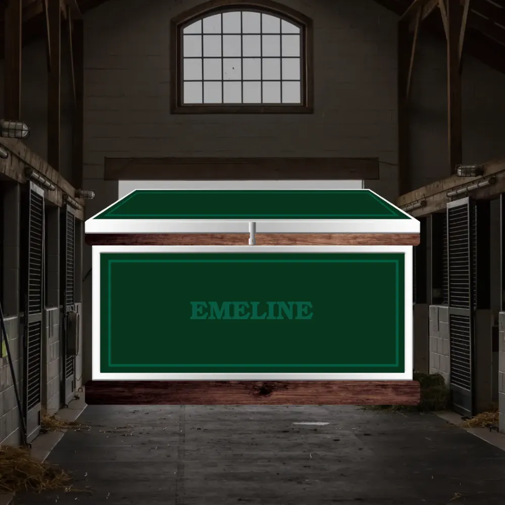 Medium Phoenix West Tack Trunk - Customer's Product with price 1157.90 ID uw6Q7MJ44NAnexE2-eQHnymF