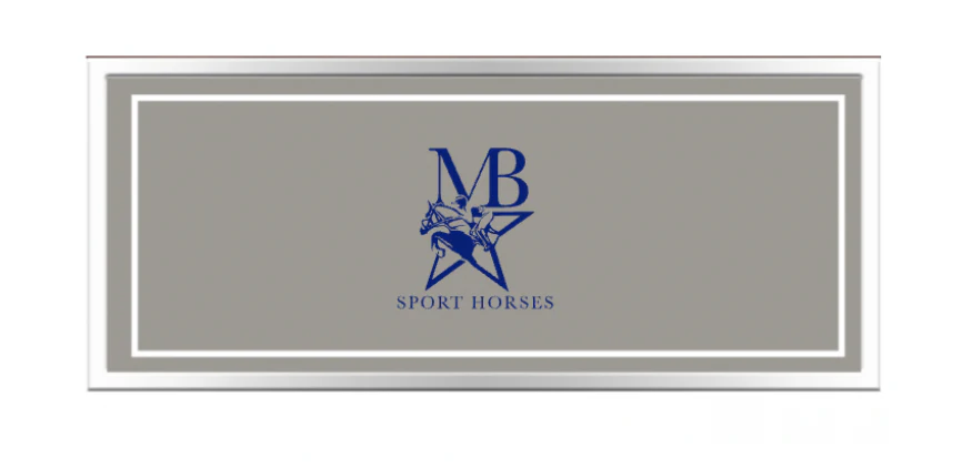 Large Chrome Panel Replacement Set (MB Sporthorses)